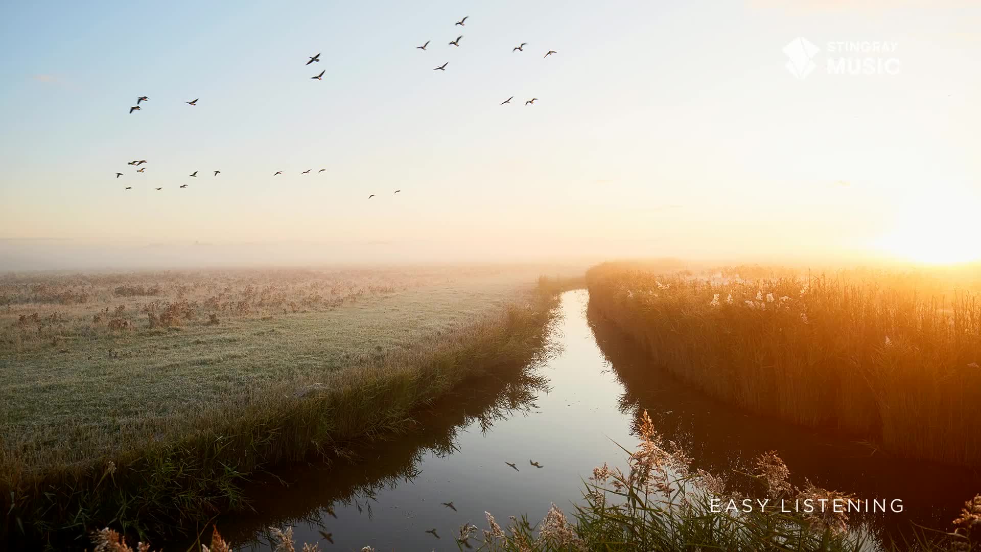A flock of birds takes flight against a soft, hazy sunrise over a Canadian marsh. The water in the narrow channel reflects the warm glow, a perfect soundtrack for this tranquil scene.