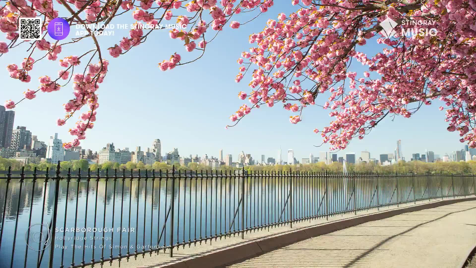 Pink blossoms frame a calm lake and distant city skyline. The gentle breeze rustles the delicate petals, a perfect soundtrack to this spring day.