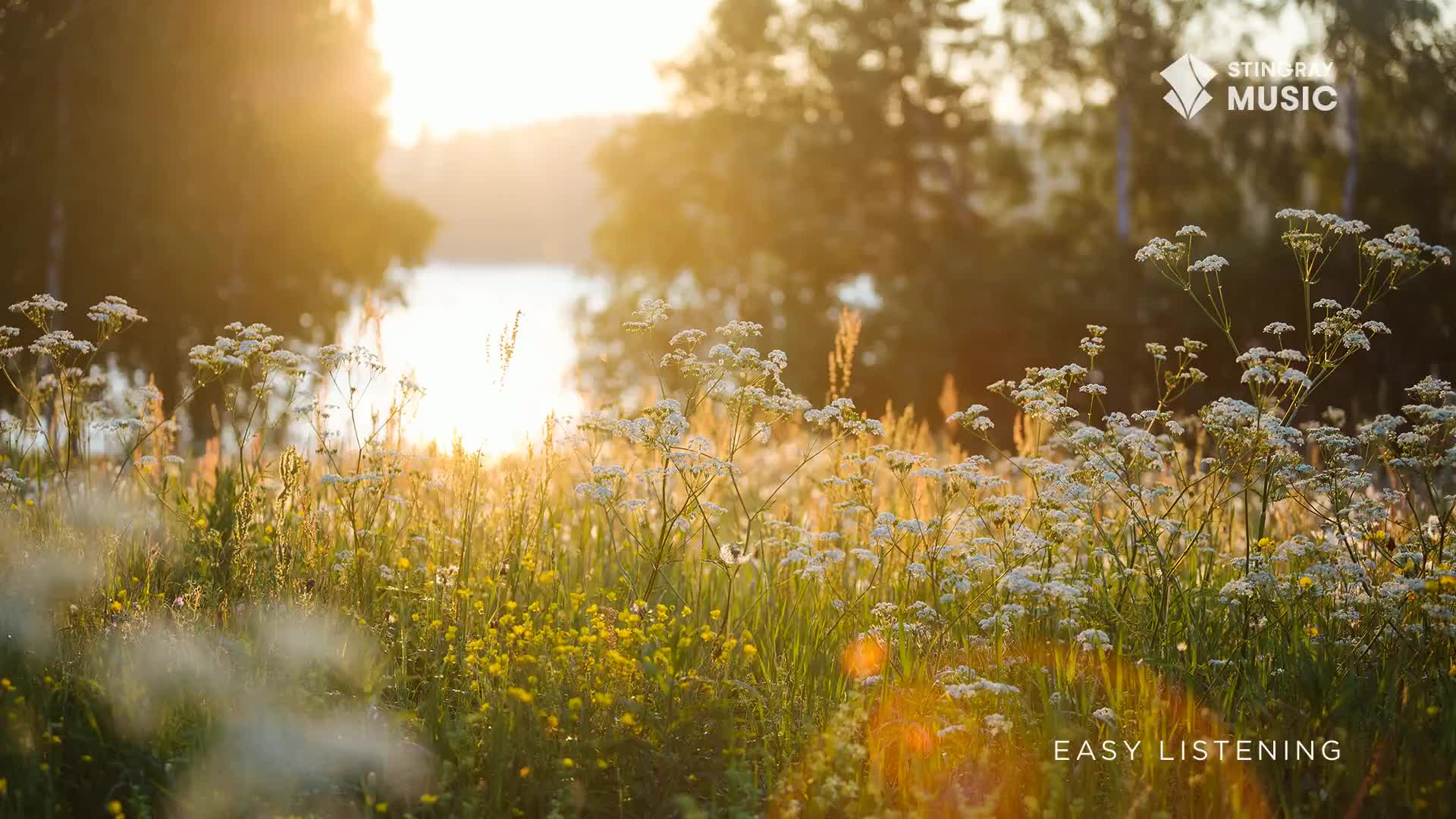 The sun casts a warm, golden glow over a field of wildflowers and tall grass, hinting at a peaceful afternoon in the Canadian countryside. A calm body of water is visible in the distance, reflecting the bright sky.