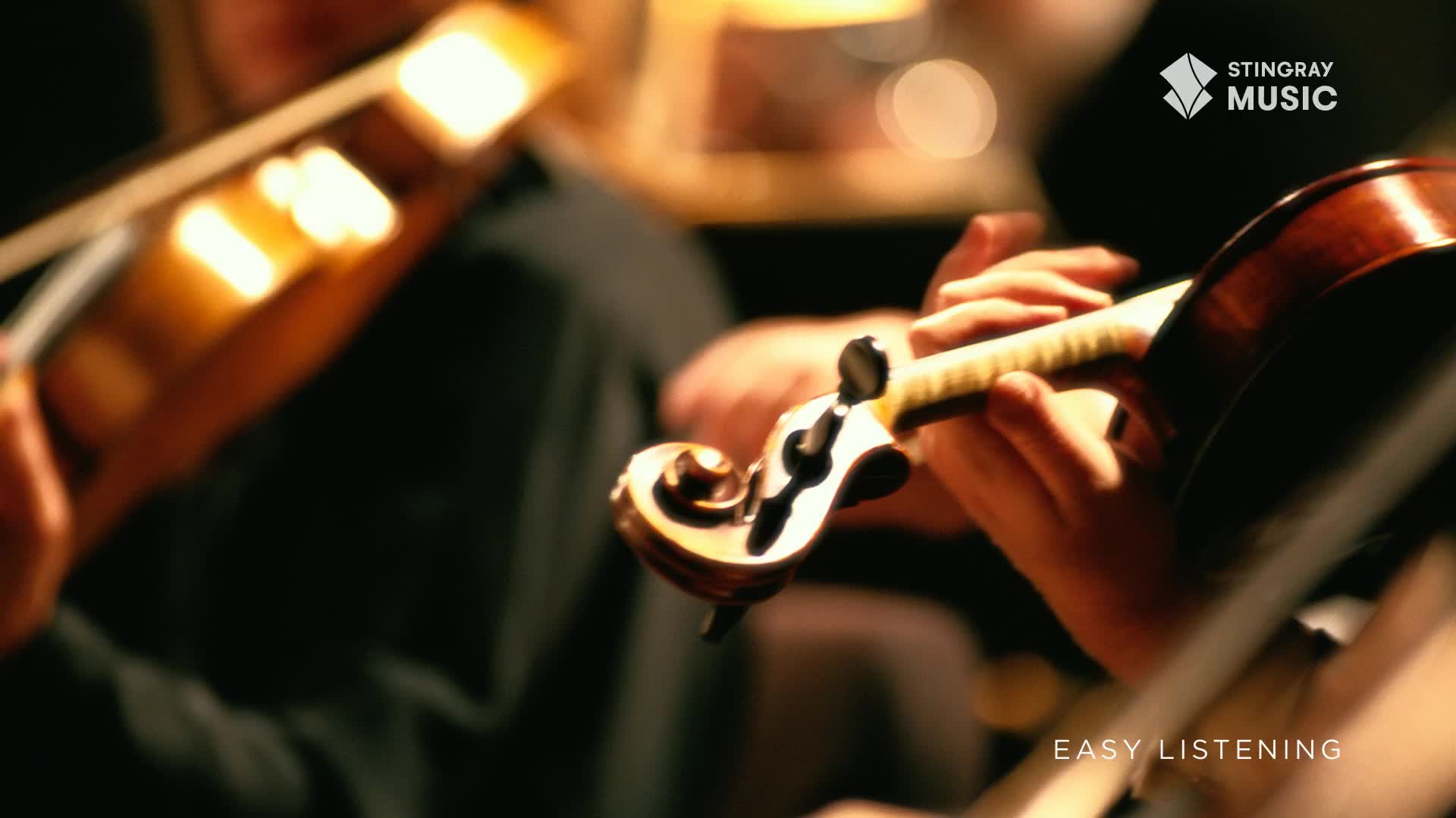 Fingers dance on the fingerboard of a violin, its polished wood gleaming under the lights. The bow glides across the strings, a soft melody filling the air, perfect for a Stingray Easy Listening moment.