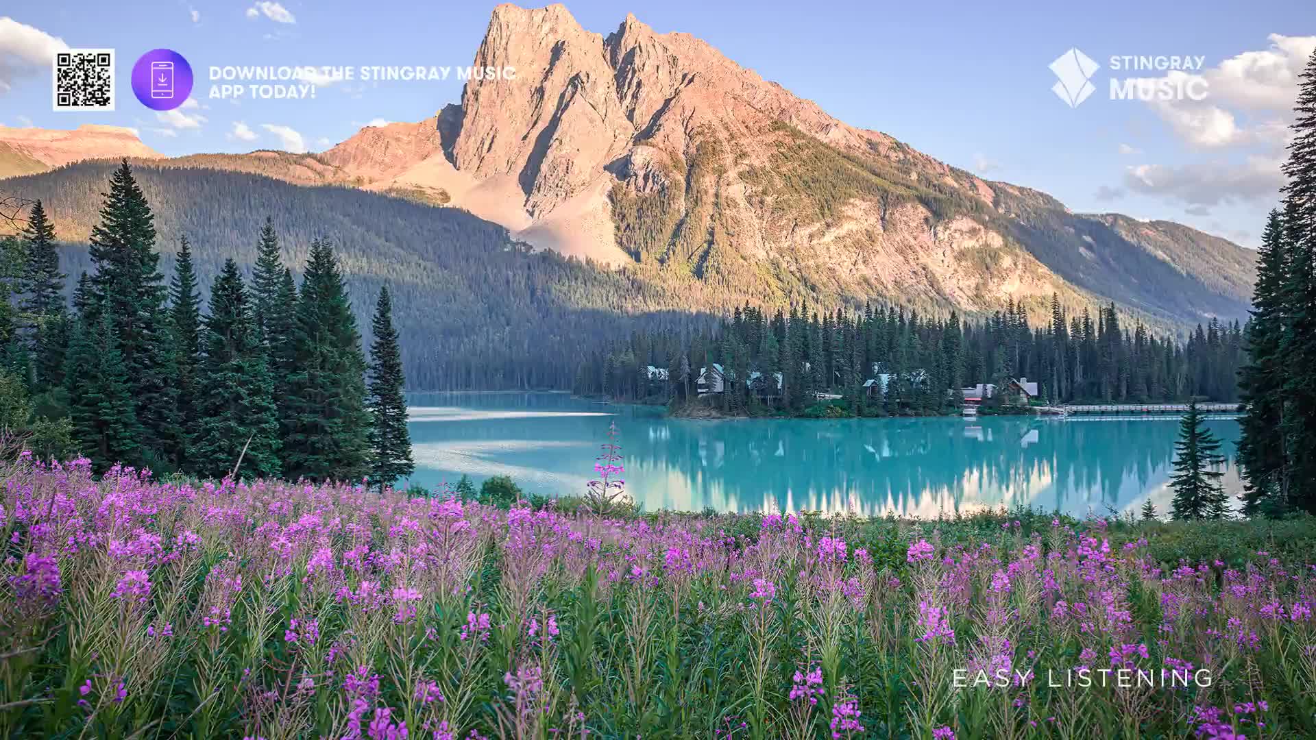 The sun casts a warm glow on the rugged Canadian mountains overlooking a serene turquoise lake. A field of vibrant purple wildflowers sways gently in the foreground, framing the tranquil scene.