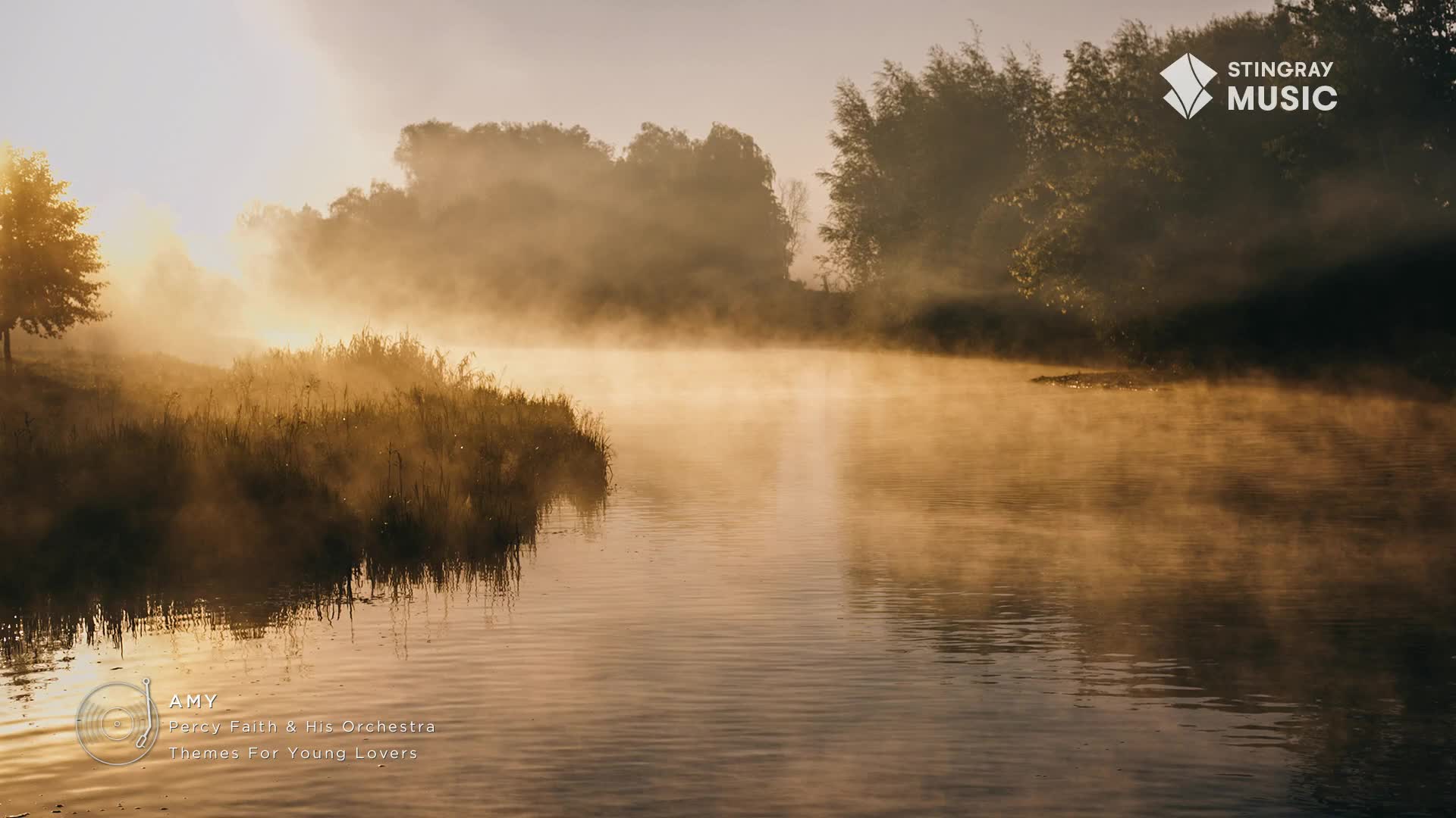 Mist hangs low over the water, catching the early morning sun. A lone figure in a small boat glides silently across the calm surface.