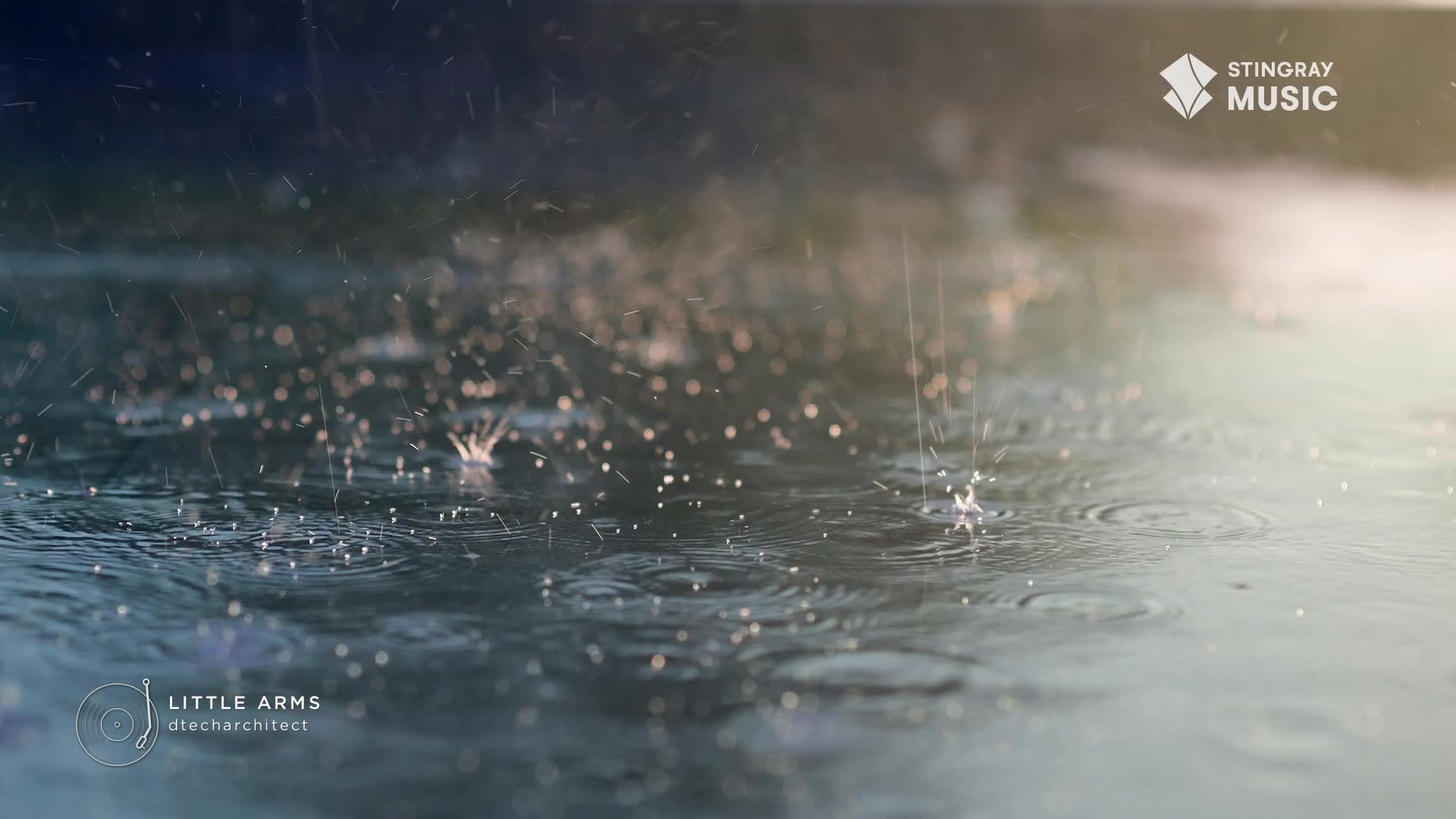 Raindrops are hitting the pavement, creating small explosions of water. The surface reflects the soft, hazy light, like a quiet moment on a Canadian afternoon. Raindrops are hitting the pavement, creating small explosions of water. The surface reflects the soft, hazy light, like a quiet moment on a Canadian afternoon.