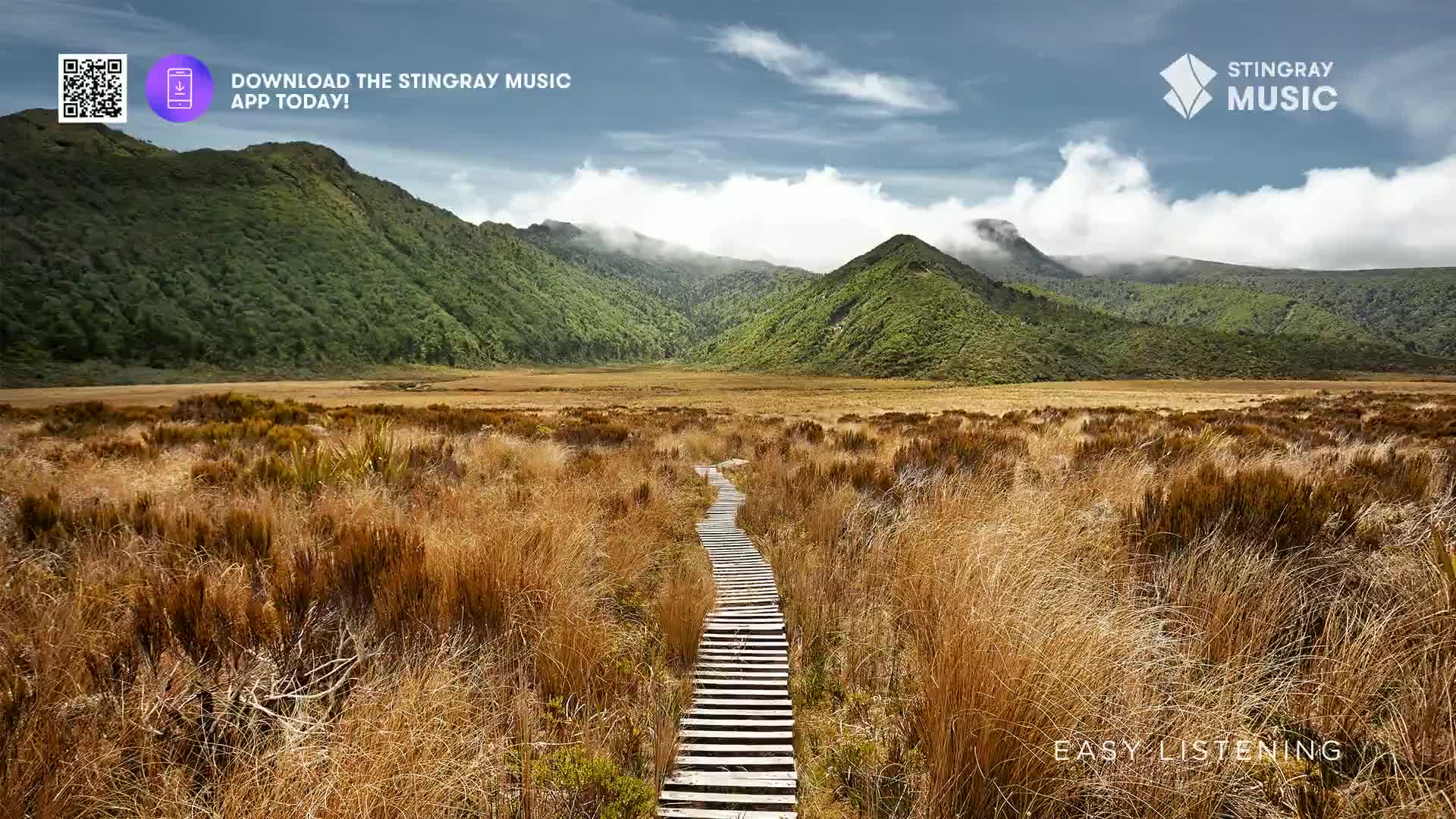 A wooden boardwalk cuts through dry, golden grasses. Rolling, mist-shrouded mountains rise in the distance under a wide sky.