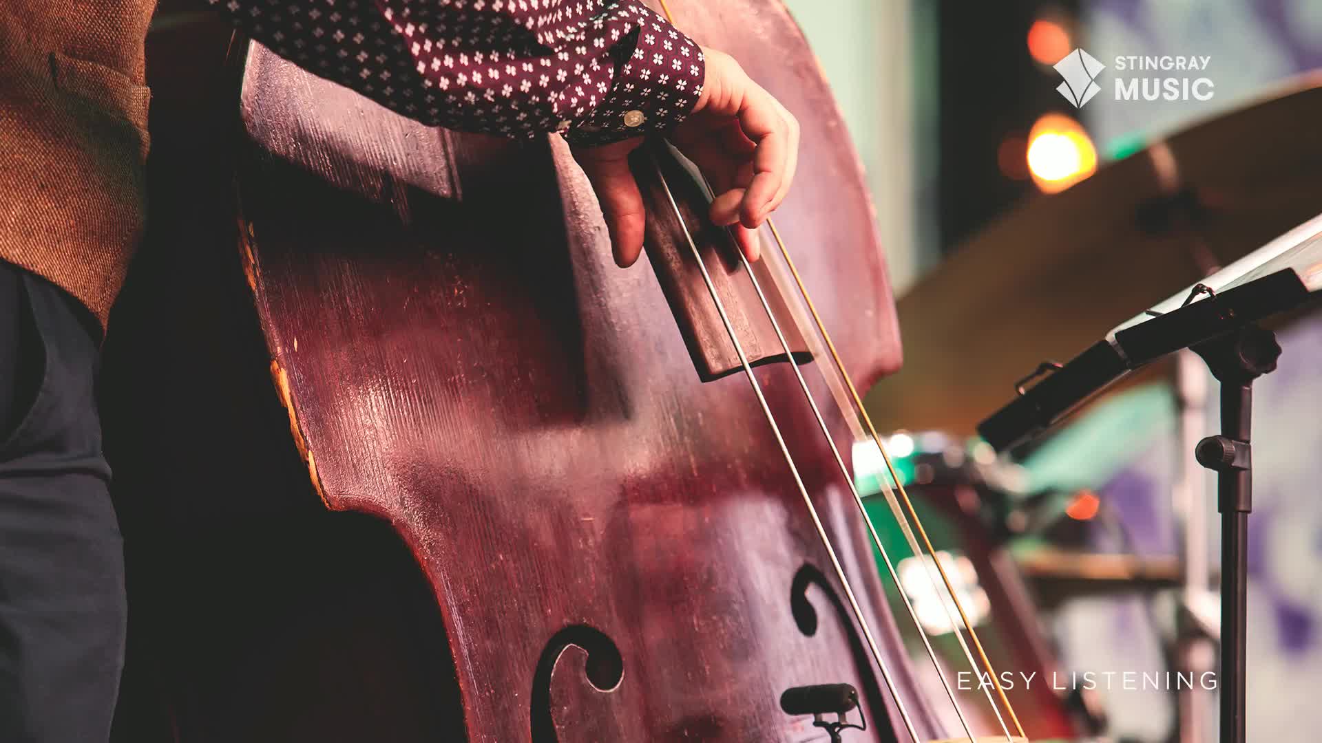 A hand plucks the thick strings of an upright bass, its polished wood gleaming under the stage lights. This is the sound of Stingray Easy Listening, a familiar tune in Canada.