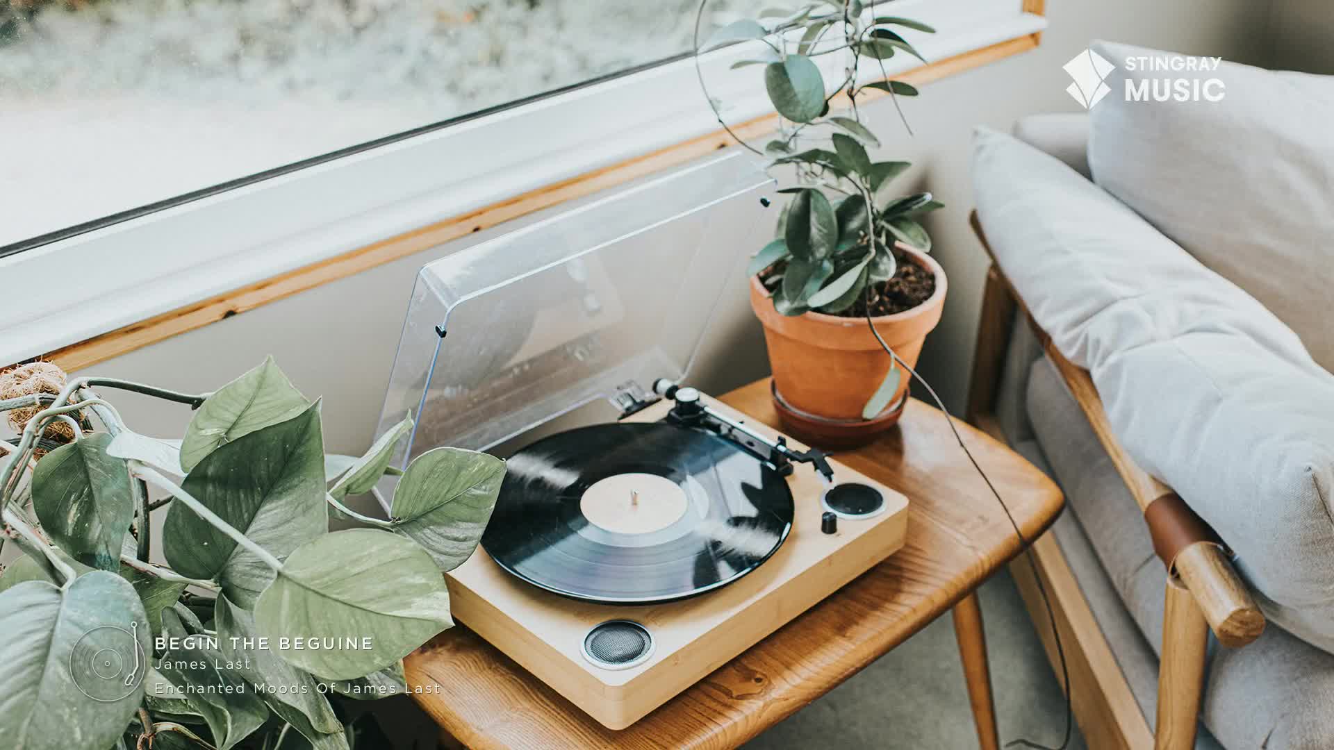 A record spins on a wooden turntable, its needle tracking the grooves. Beside it, a potted plant reaches towards the light filtering through a window.