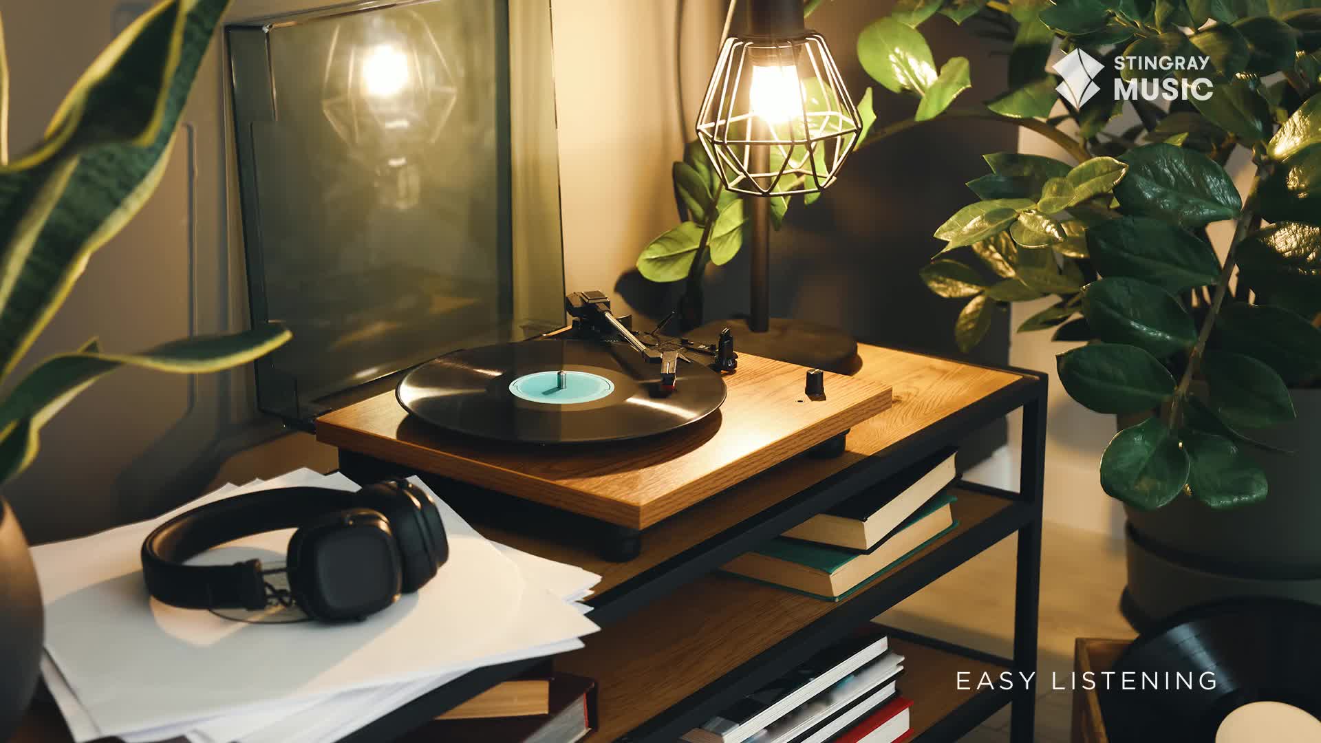 The record spins, its needle poised over the grooves. A warm lamp casts a glow on the turntable, promising some easy listening from Stingray Music.