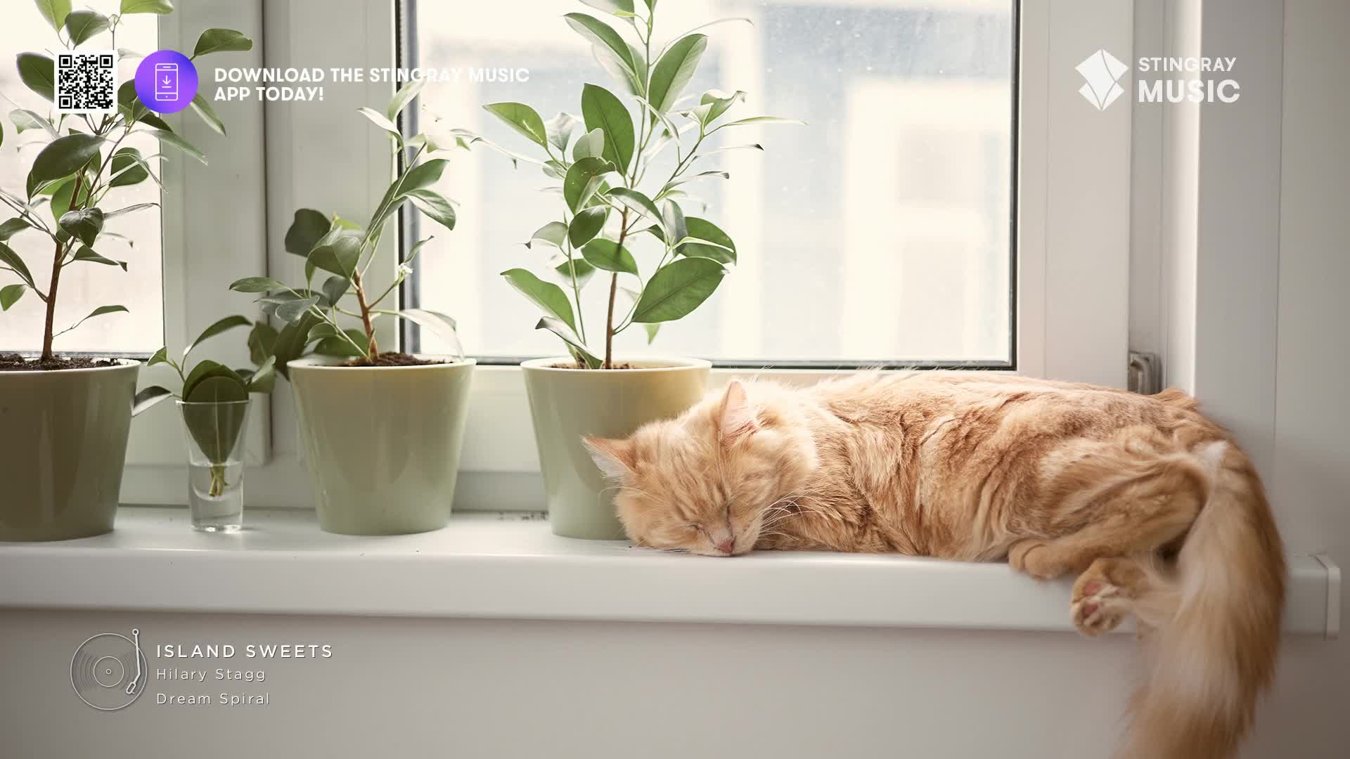 A fluffy orange cat naps peacefully on a windowsill, surrounded by potted plants. The soft glow of daylight filters through the window, creating a tranquil scene.