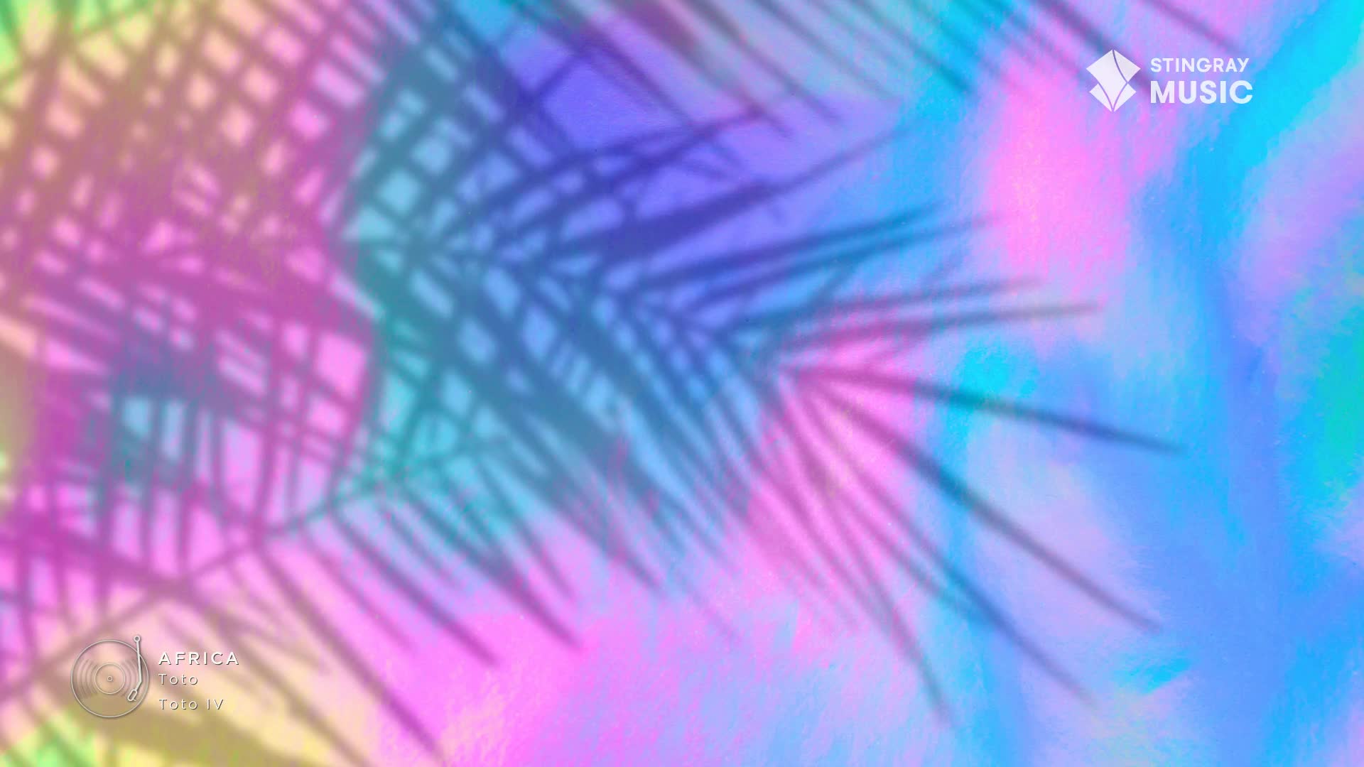 Palm frond shadows stretch across a backdrop of blended pinks, blues, and yellows. It's like a Stingray Everything '80s broadcast, but the tropical vibe is all Canada.
