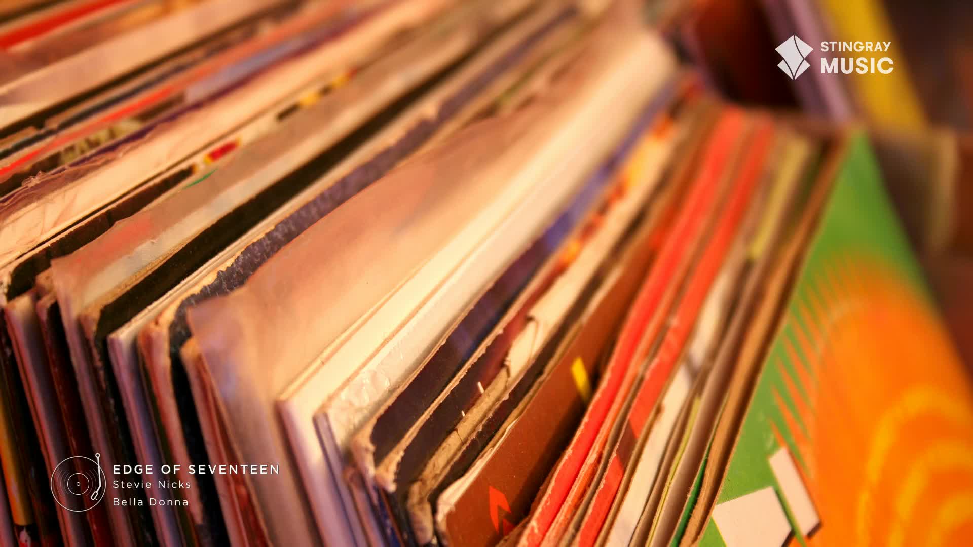 Stacks of album covers, some faded and worn, lean together. The warm light catches the edges of the records, a reminder of the music from Canada's Stingray Everything '80s.
