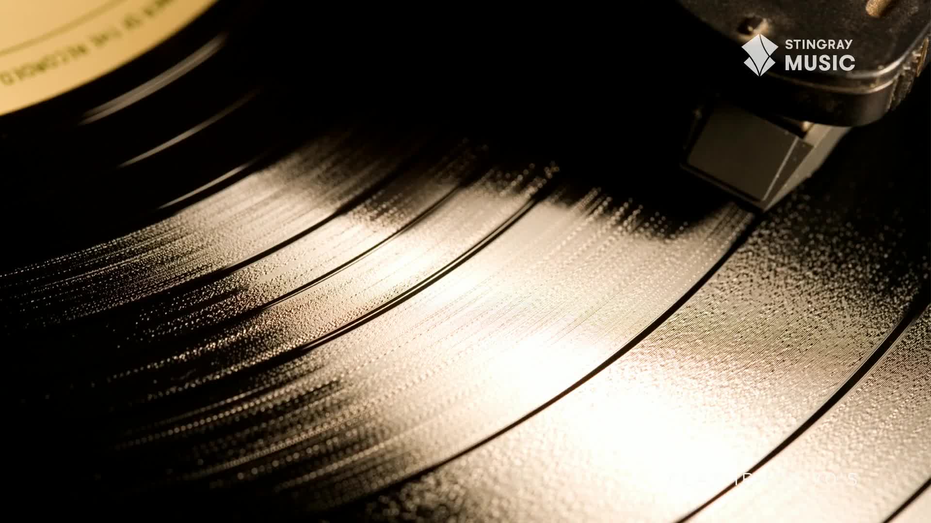 The needle of a record player rests on the grooves of a vinyl disc, ready to play a Stingray Flashback 70's tune from Canada. The surface of the record reflects the light, showing the intricate details of the music.
