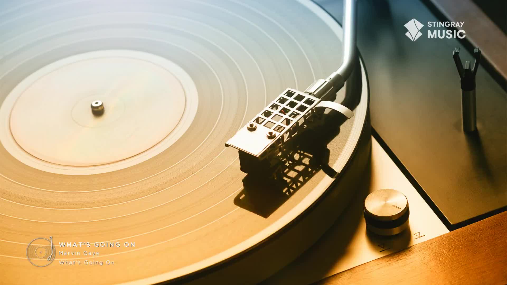 The needle rests on the grooved surface of a spinning vinyl record, ready to play Marvin Gaye. This is the sound of a Canadian summer, a Stingray flashback to the 70s.