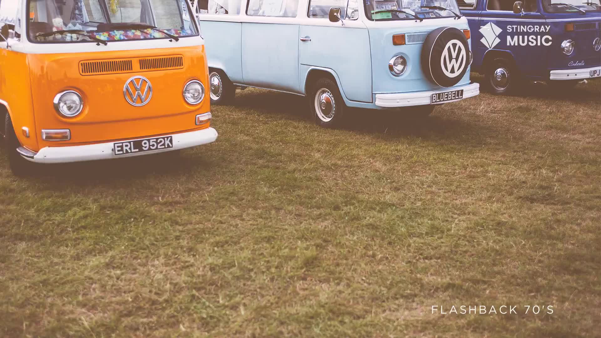 Three vintage VW vans, an orange one, a light blue one, and a dark blue one with "Stingray Music" on its side, sit parked on a grassy field. The vans, reminiscent of a 70s Canadian summer, are lined up, their rounded shapes and chrome details gleaming.