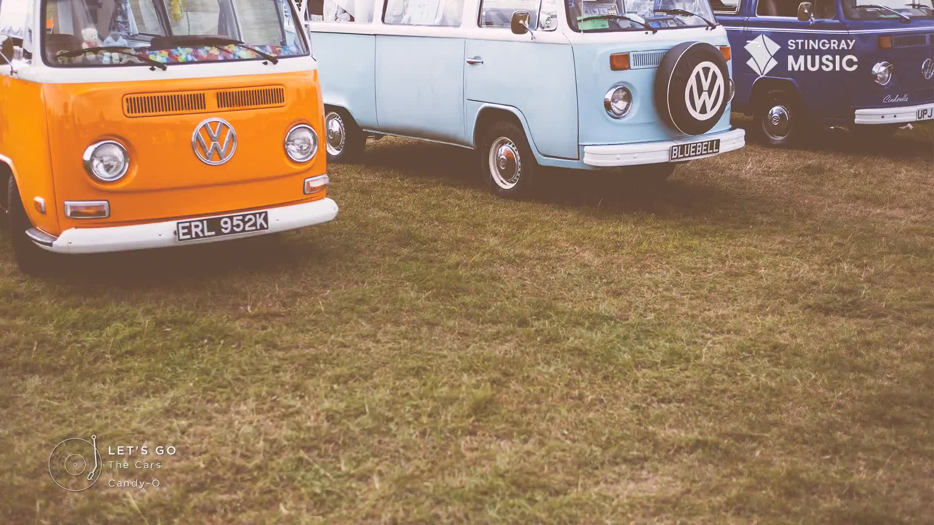 Three vintage Volkswagen vans, one orange, one light blue, and one dark blue, are parked on a grassy field. The blue van on the right has "STINGRAY MUSIC" emblazoned on its side.