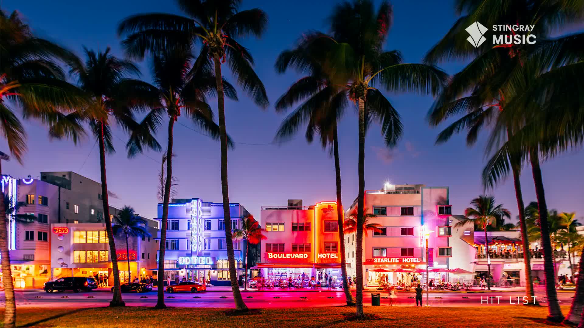 Palm trees frame a street scene, the buildings lit up with neon signs and glowing windows. Cars cruise along the road, their headlights and taillights adding streaks of color to the night.
