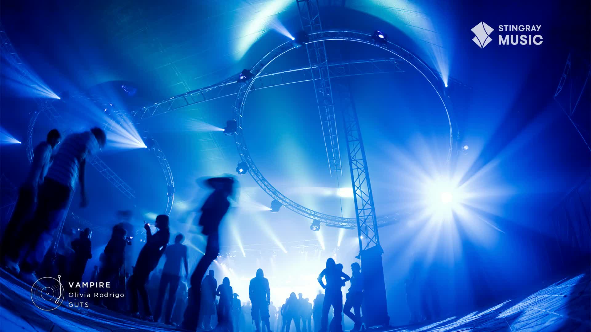 Under a canopy of lights, the crowd sways, their forms blurred by the intense blue glow. The Stingray Hit List is playing, and the energy is electric.
