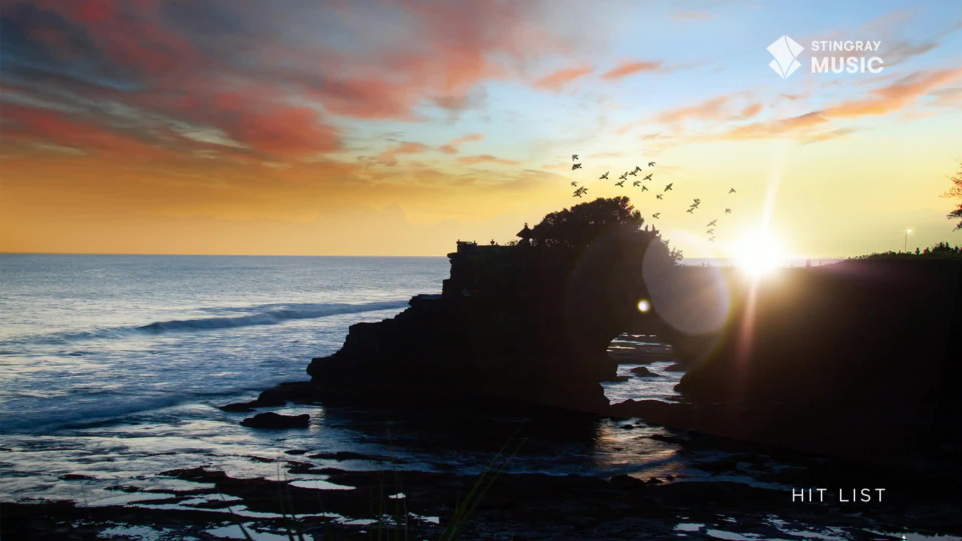 A flock of birds flies towards the sun, silhouetted against the sky. The water laps against the rocky shore as the Stingray Hit List logo sits in the corner.

