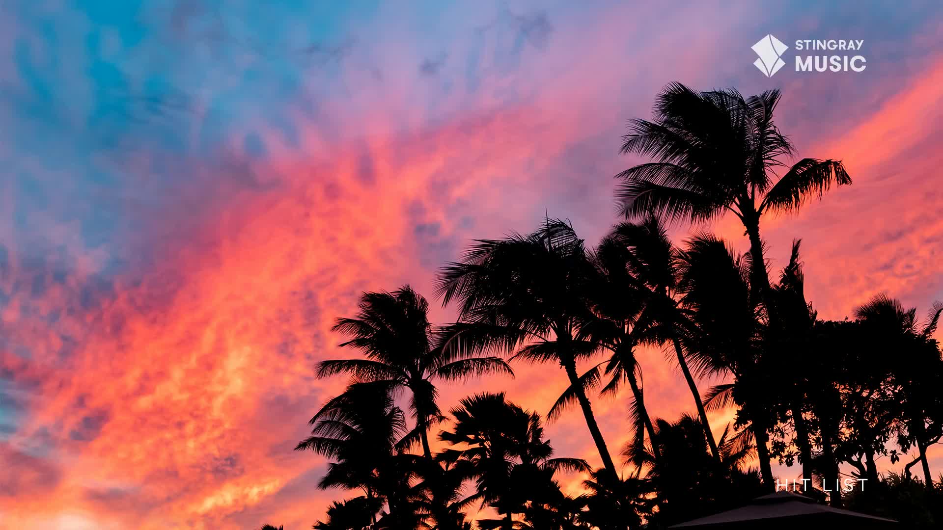 The sky is ablaze with streaks of orange and pink, contrasting sharply with the dark silhouettes of palm trees. The wind is rustling the fronds, adding a sense of movement to the already vibrant scene.
