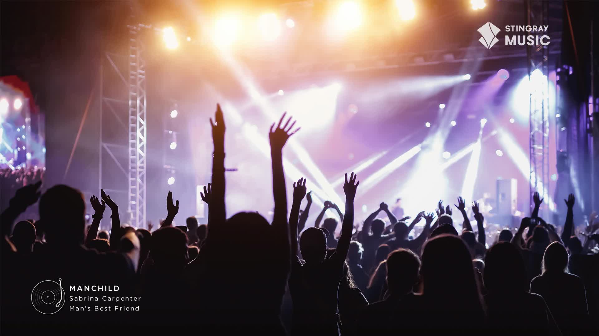 The crowd's arms are raised, silhouetted against the stage lights. It's a Stingray Hit List concert in Canada, and the energy is electric.
