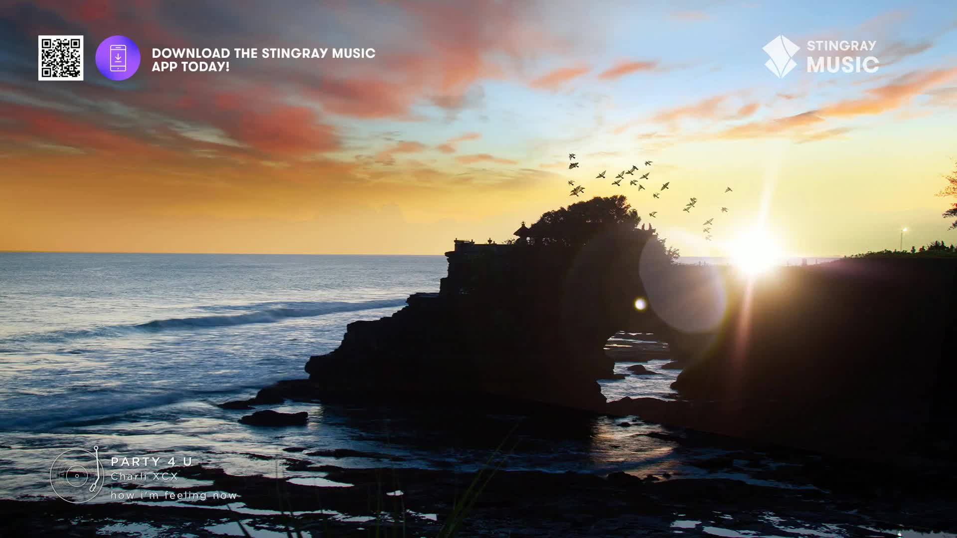 The sun blazes on the horizon, casting a warm glow over the ocean and silhouetted rock formations. A flock of birds takes flight, their dark shapes contrasting against the vibrant sunset sky, as if this were a Stingray Hit List video.
