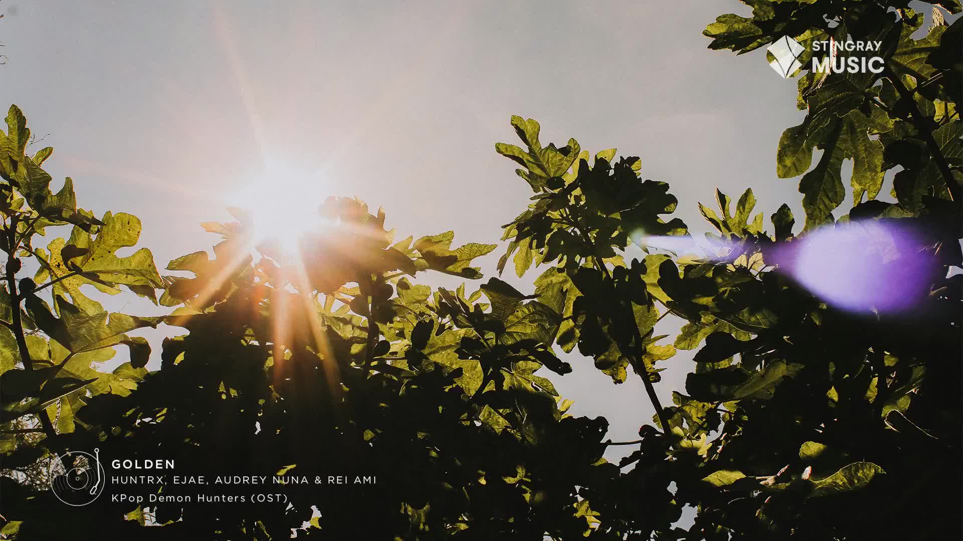 Sunlight streams through the leaves of a fig tree, casting a warm glow. A faint purple lens flare drifts across the frame.