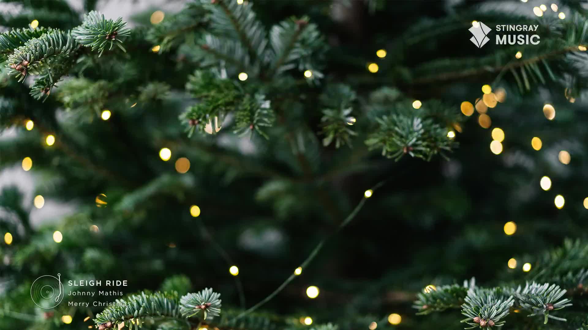 Tiny yellow lights twinkle against the dark green needles of a Christmas tree. The Stingray Music logo is visible, and I can almost hear "Sleigh Ride" playing on Stingray Holiday Hits from Canada.
