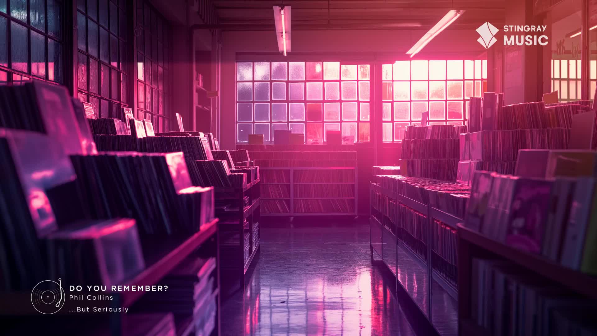 Rows of records stretch out under a warm, pink light. The air feels still, like a quiet afternoon in a Canadian record shop.