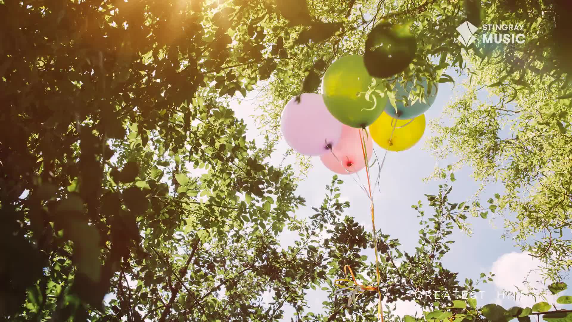 A cluster of pink, yellow, green, and blue balloons bobs gently against a bright Canadian sky. Sunlight filters through the leaves of a nearby tree, casting dappled shadows.
