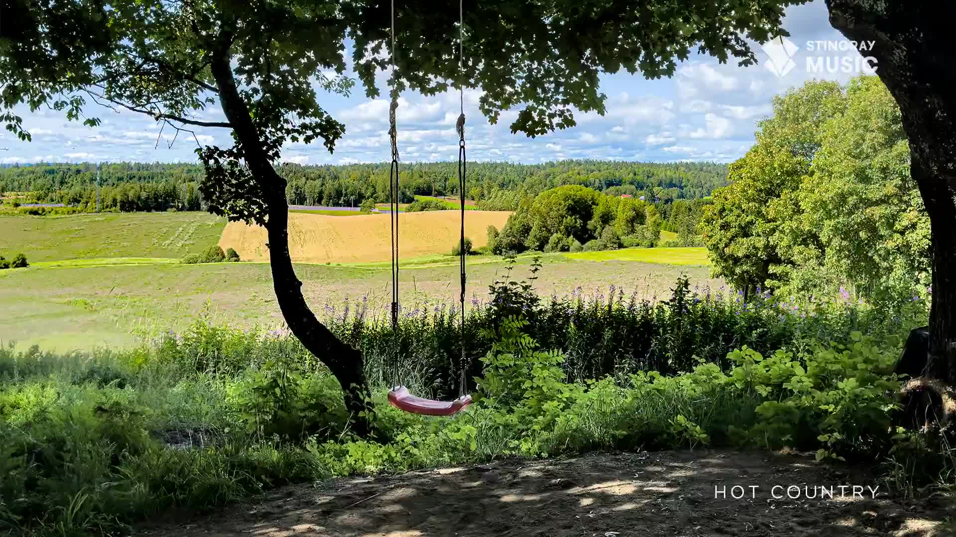 A swing hangs from a tree, its seat a soft pink against the green and gold of the distant fields. The scene is bathed in the sunlight of a Hot Country day.
