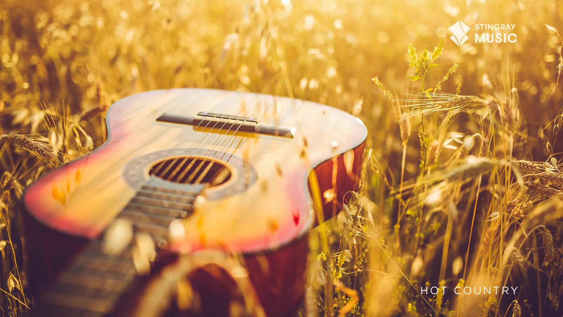 An acoustic guitar rests in a field of golden wheat, the sun catching the instrument's curves. The Stingray Hot Country logo sits in the corner, a reminder of the music that might be played here.
