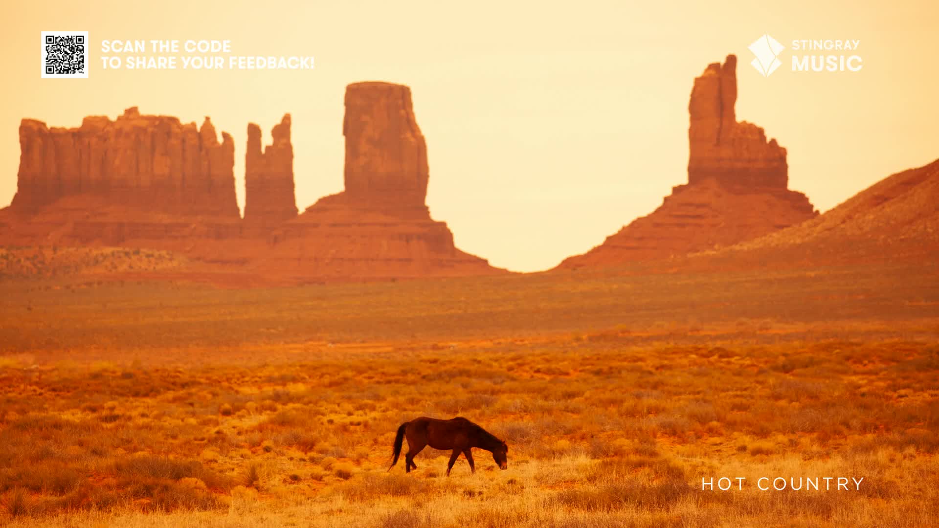 A lone horse grazes in a field of dry grass, dwarfed by the towering red rock formations in the distance. The sun casts a warm, golden glow over the landscape, a perfect backdrop for Canada's Stingray Hot Country.
