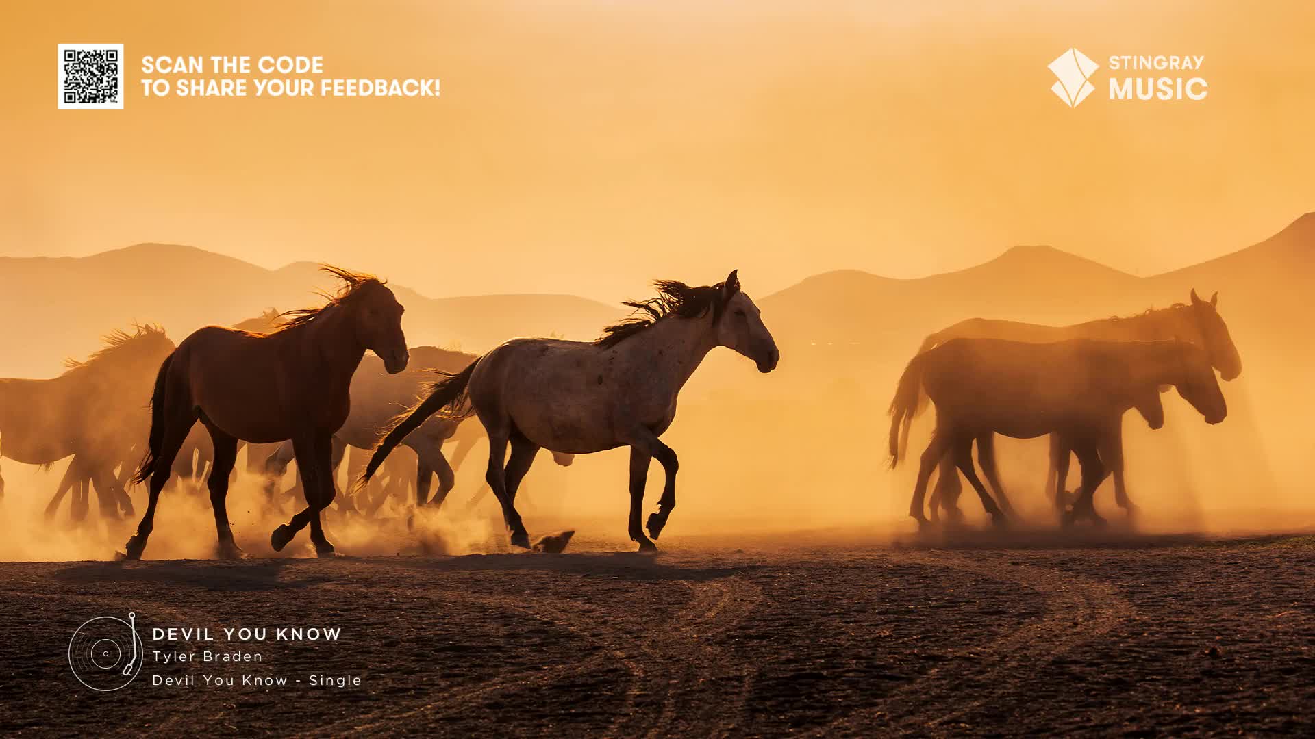 A herd of horses gallops across the dry landscape, kicking up a cloud of dust in the warm light. The image, featured on Stingray Hot Country, evokes the wild spirit of Canada.
