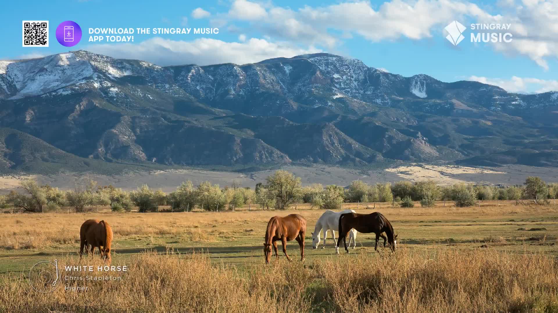 Horses graze peacefully in a field, their heads lowered as they eat. Towering mountains, dusted with snow, form a backdrop under a bright blue sky.
