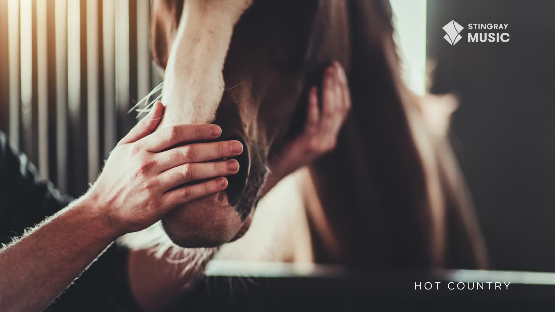 A hand gently strokes the soft muzzle of a horse, its coat a rich brown. The horse's head is turned slightly, its white blaze illuminated by the light streaming in from the barn.
