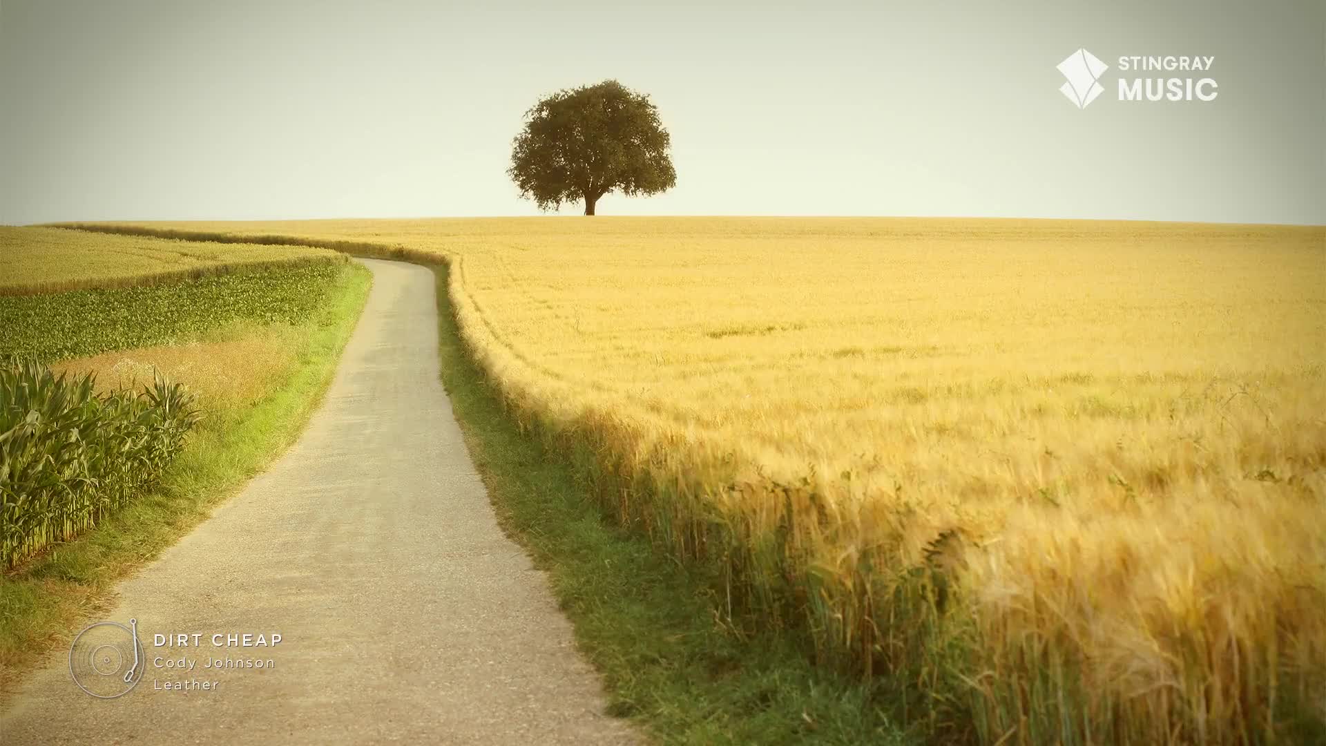 A narrow road curves through fields of golden wheat, leading towards a solitary tree under a pale sky. The Stingray Music logo sits in the corner, and it's the perfect backdrop for some Hot Country from Canada.
