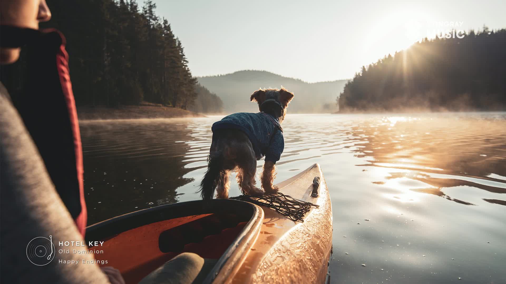 A small dog in a blue sweater stands alert on the bow of a canoe, its fur catching the morning sun. Mist rises off the calm lake, framing the dense pine forest and rolling hills of this Canadian landscape.