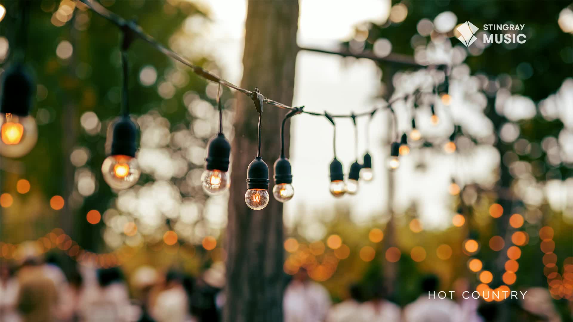 Strings of Edison bulbs hang overhead, their warm glow illuminating a gathering of people. The air feels soft and inviting, like a summer evening in Canada.