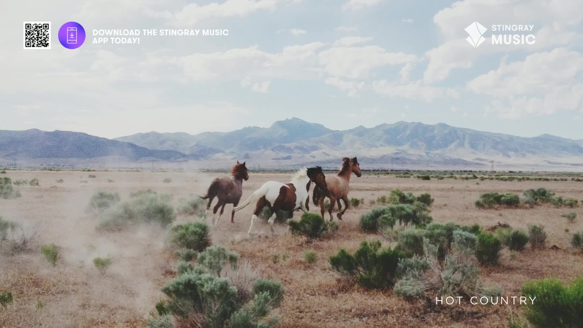 A group of horses gallops across a dusty, arid plain. Their hooves kick up clouds of dirt as they run towards distant, rugged mountains.