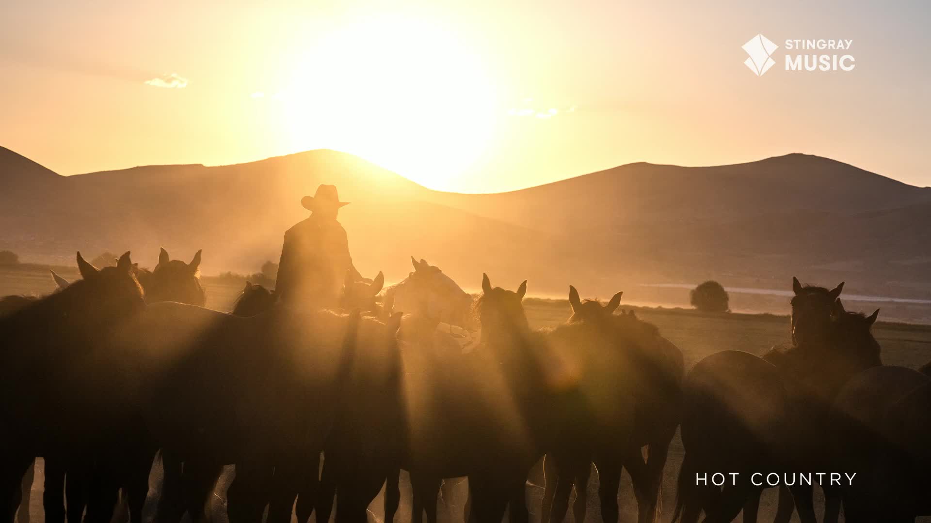 A lone cowboy guides a herd of horses through the golden light of a Canadian sunrise. Rays of sun pierce through the dust kicked up by their hooves.