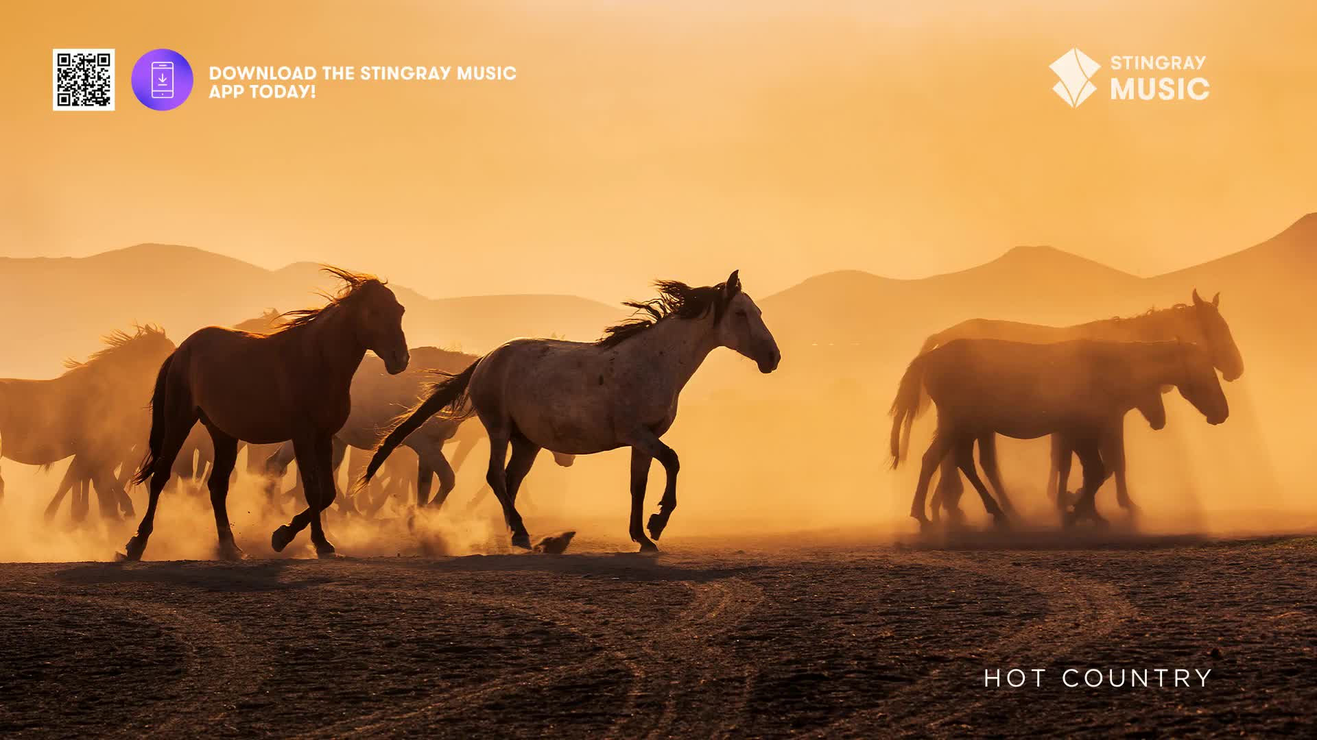A herd of horses thunders across the dusty plains, their manes flying in the warm, hazy light of a Canadian sunset. The air is thick with kicked-up earth, a fitting backdrop for this moment of raw, untamed energy.