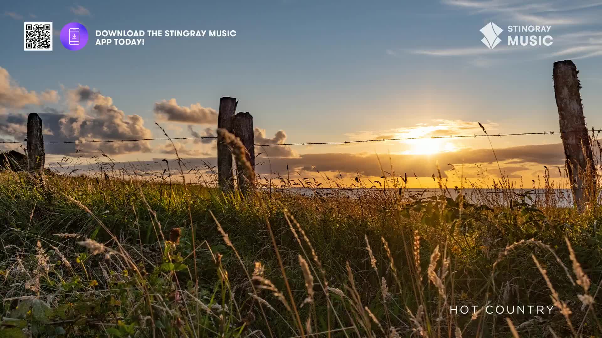 The sun dips low over the ocean, casting a warm glow across the tall grass. A weathered fence line stretches across the field, framing the peaceful Canadian landscape.