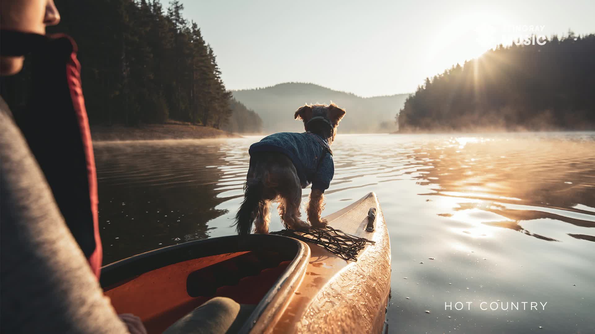 A small dog, wearing a blue jacket, stands alert on the bow of a canoe. Mist rises from the calm water as the sun breaks through the trees lining the Canadian shore.