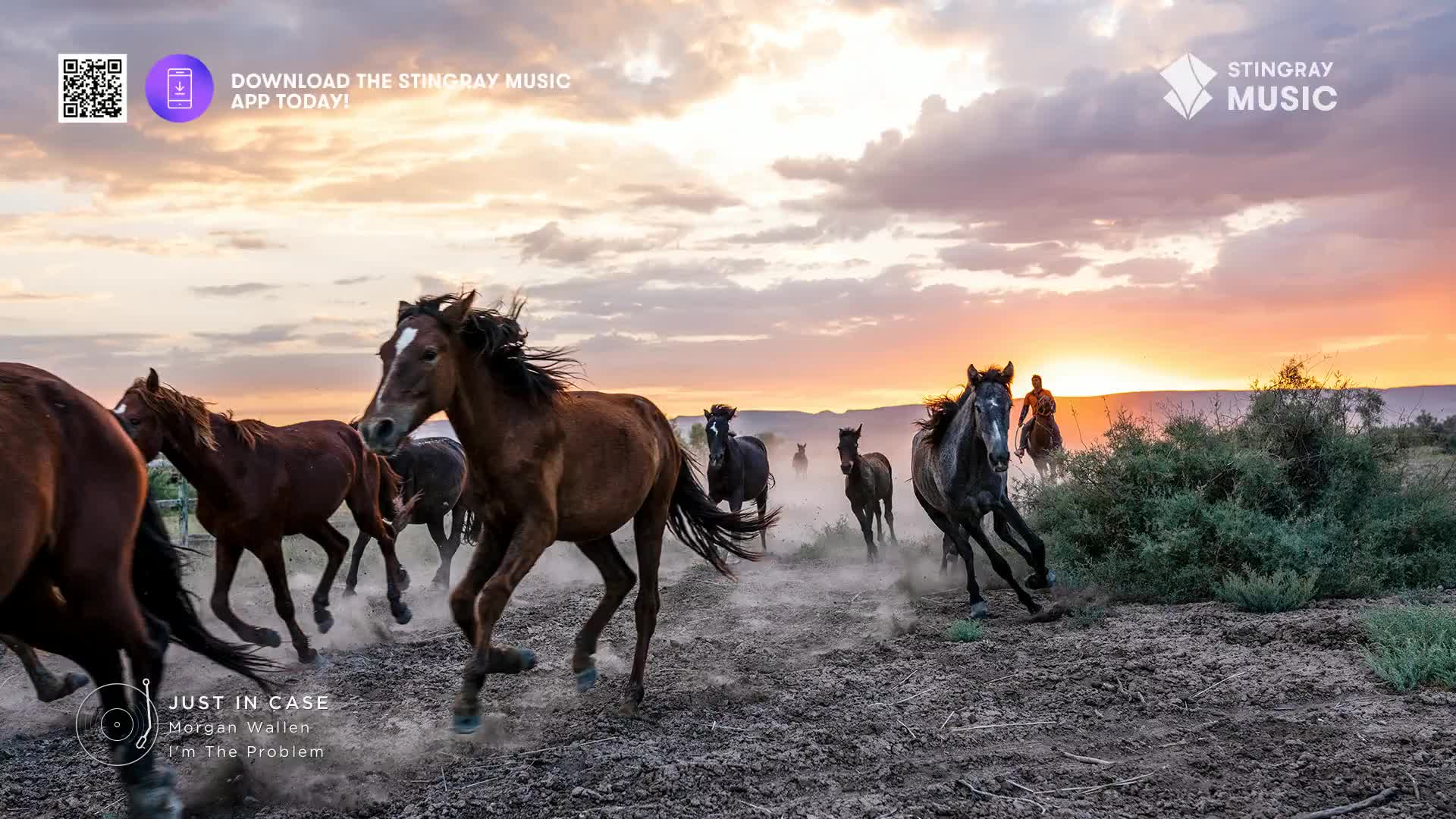 A herd of horses thunders past, kicking up dust under a fiery Canadian sunset. A lone rider on horseback trails them, silhouetted against the vibrant sky.