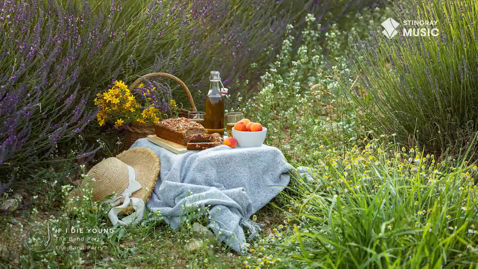 A picnic blanket is spread between rows of lavender, holding a loaf of bread, fruit, and a bottle of drink. A straw hat rests beside the spread.