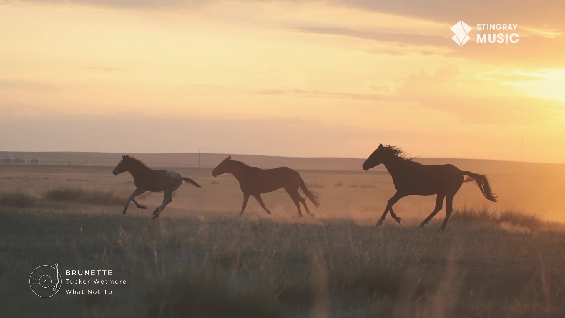 Three horses gallop across a grassy field under a warm, hazy sky. Dust kicks up from their hooves as they move towards the setting sun.