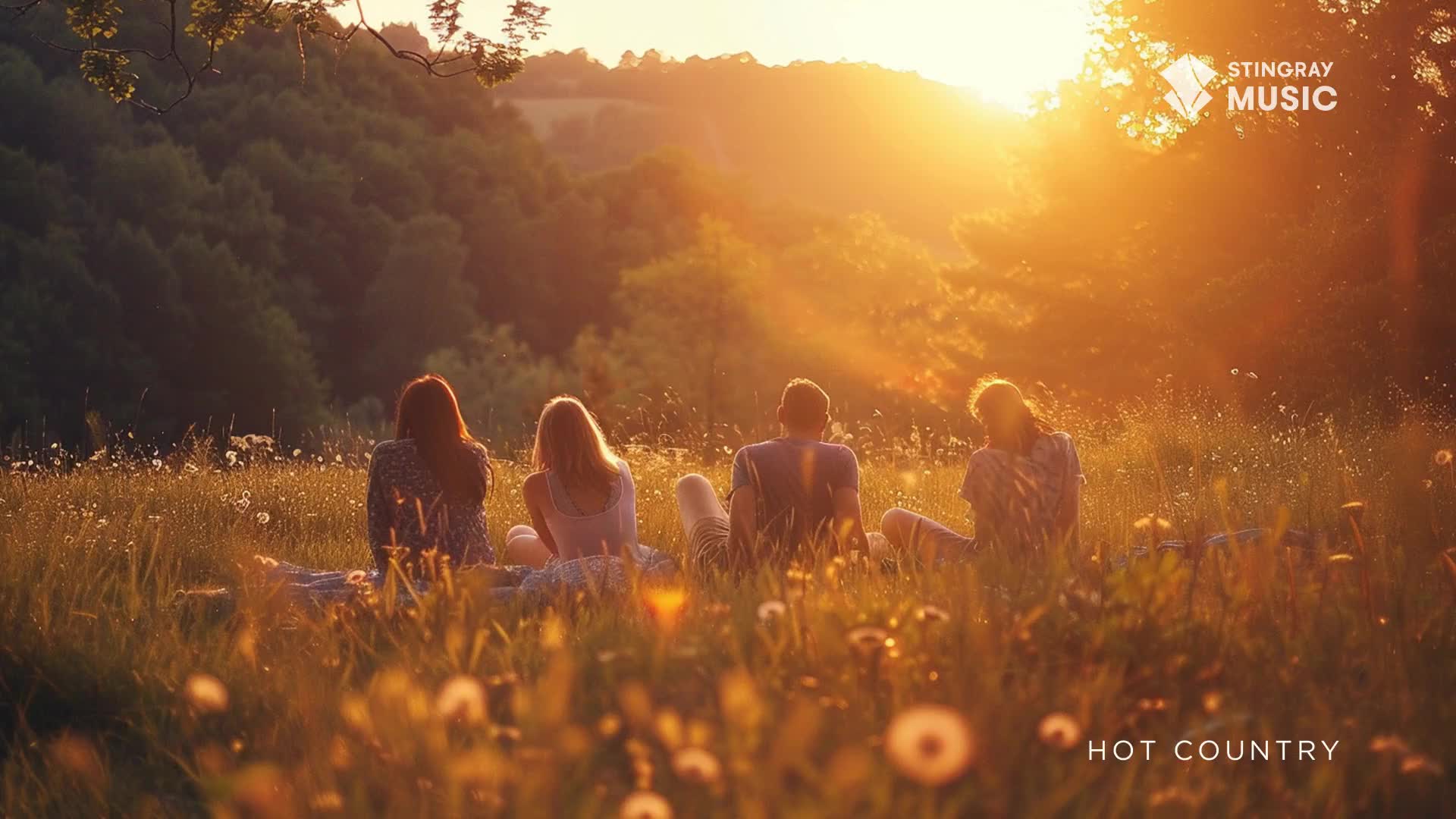 Four friends sit in a field of tall grass, bathed in the warm glow of a setting sun. The golden light filters through the trees behind them, casting long shadows across the landscape.