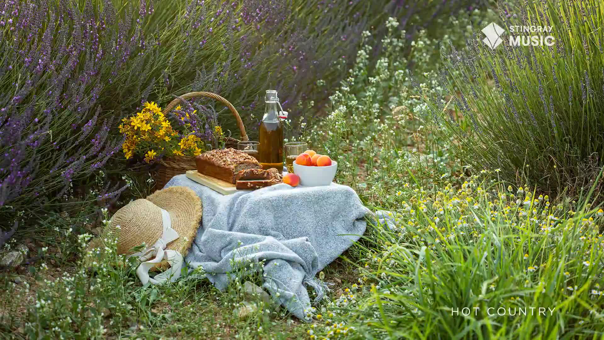 A picnic spread rests on a blanket between rows of lavender. A loaf of banana bread and a bowl of apricots sit ready for a break.