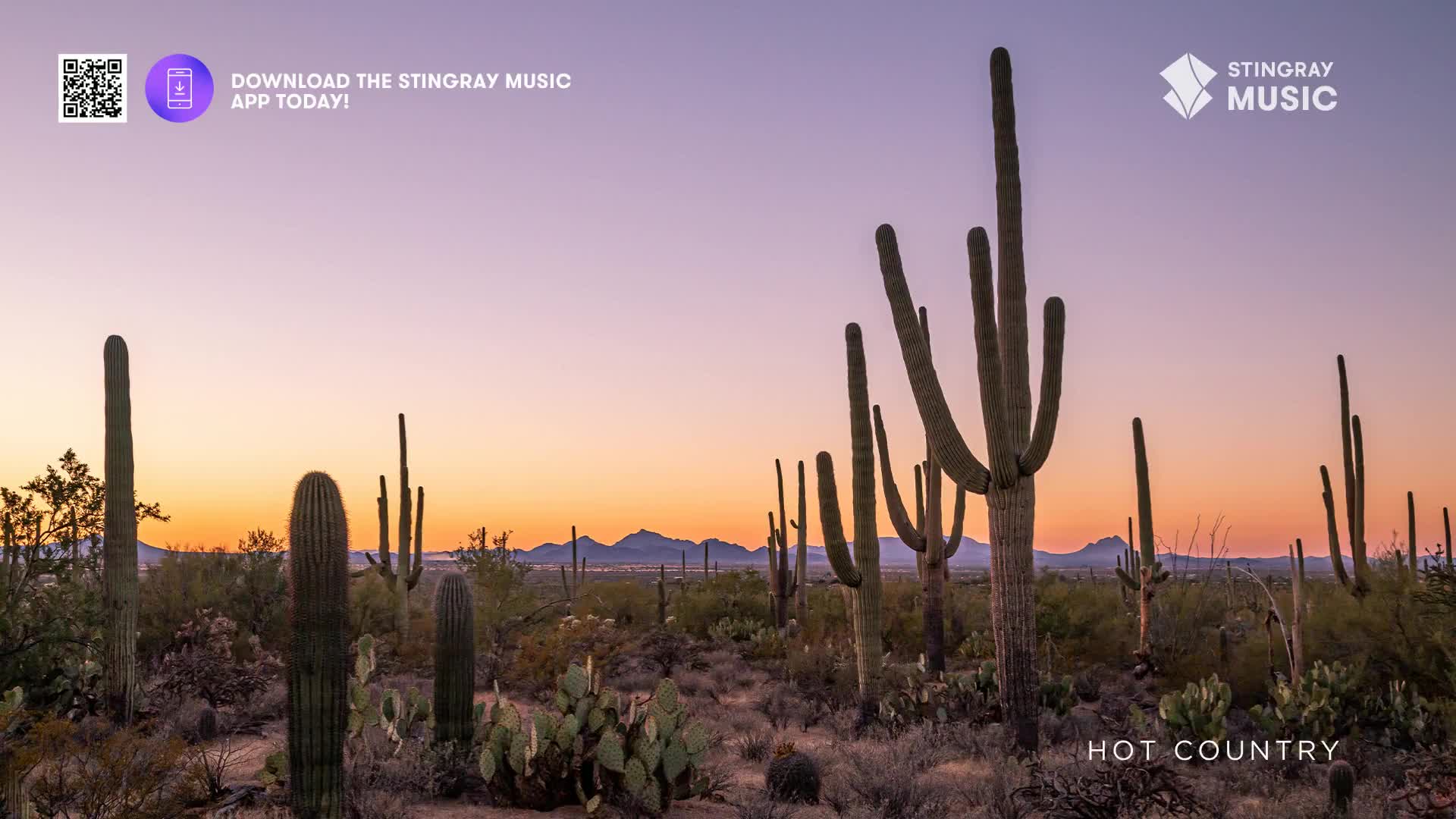 The sun dips below the horizon, painting the sky in soft purples and oranges over a desert landscape. Tall saguaro cacti stand silhouetted against the fading light, their arms reaching towards the twilight.