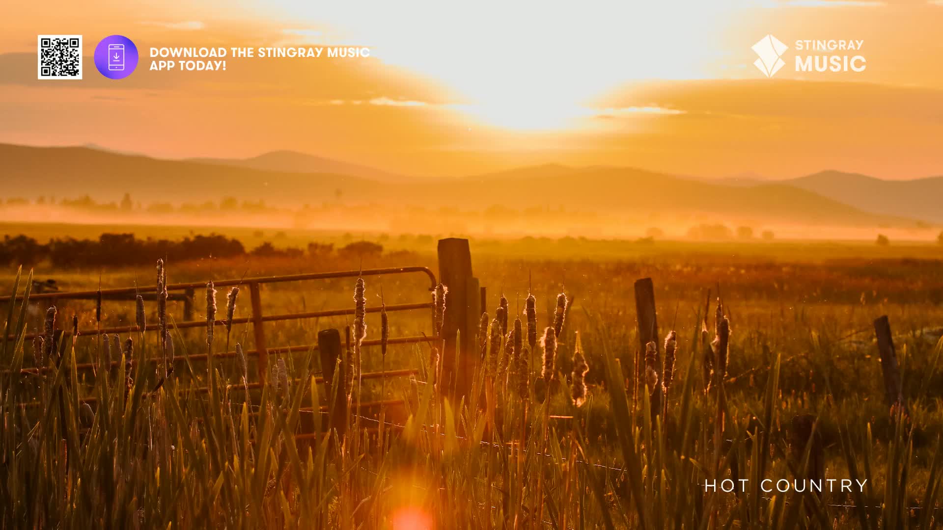 The sun dips low over rolling Canadian hills, bathing the tall grass and cattails in a warm, hazy glow. A rustic fence stands silhouetted against the vibrant sky, hinting at the vastness of the open country.
