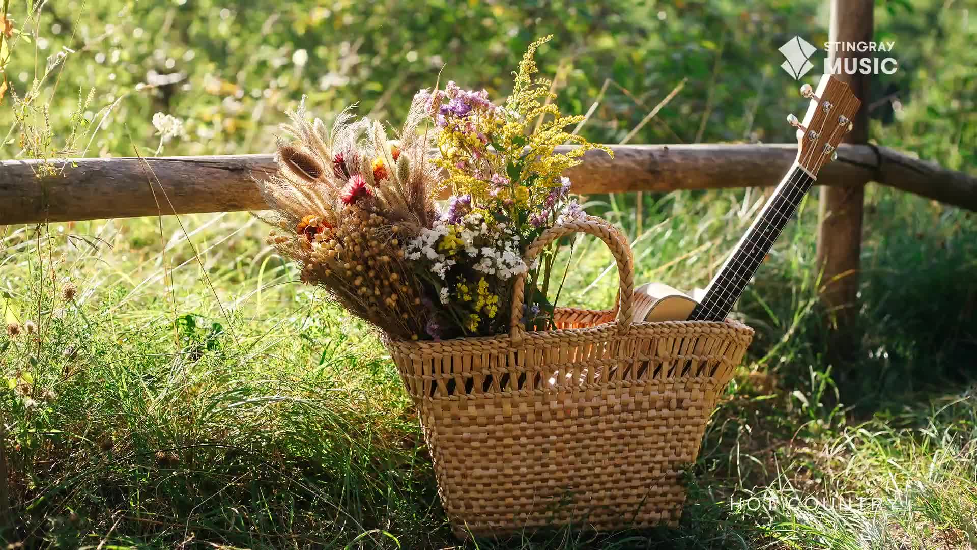 A woven basket overflows with dried grasses and wildflowers, a ukulele peeking out from its side. The scene sits beside a rustic wooden fence, bathed in the warm glow of a Canadian afternoon.